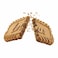 Lotus Biscoff Caramelised Biscuit - 250 gm
