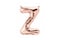 The Party Popper - Alphabet Z Balloons