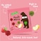 Bear Dino Paws Pure Fruit Snacks, Strawberry and Apple, 20g Pack of 5