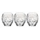 Oriente Acqua Water Tumbler 30.5CLX3