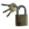 Padlock Crown Brass Plated 463