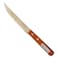 TRAMONTINA STEAK KNIFE DYNAMIC 5