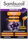 Sambucol Black Elderberry Immuno Forte Soft Pastilles, Vitamin C, Zinc, 20 Pastilles, 40 Gm