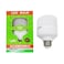 Lamp Led Economic 15W