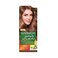 Garnier Color Naturals Hair Color 7.7 Deer Brown 1 Piece