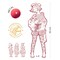 Djeco Fiodor And Friends Les Demoiselles Colouring