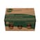 Biomass Organic Eggs 6pcs