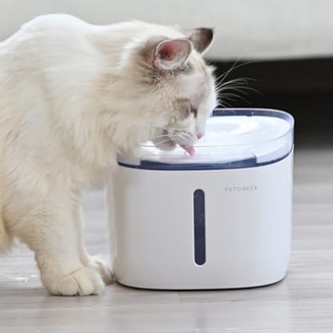Circulating water bowl for cats sale