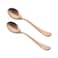 FNS Urbana Dinner Spoon 2 Pieces