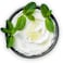 Mersin Turkish Labneh kg