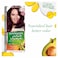 Garnier Color Naturals Hair Color Creme - 4.62 Sweet Cherry