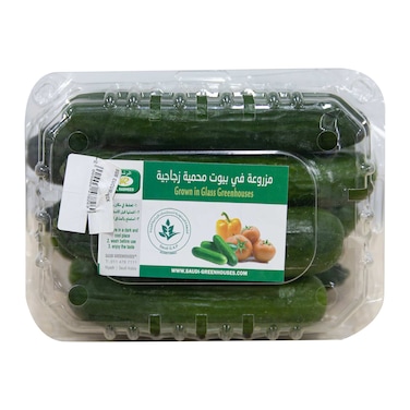 Cucumber Box 1kg