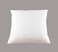 Rahalife Non Woven Filled Cushion 40X40 Cm