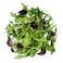 Salad Mix Leaves 150G