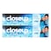 Closeup Icy White Winterblast Toothpaste Blue 75ml Pack of 2