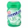 Mentos Gum Fresh Spearmint 50 Pieces