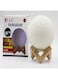 Dlc Fawahah With Led Colour Light 2W Dlc-2939 White