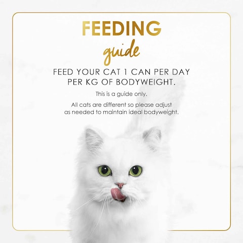 Purina Fancy Feast Gravy Lovers Salmon Feast in Seared Salmon Flavour in Gravy Cat Food, 85g