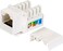 Single Port Face Plate with CAT6 Keystone Jack 50 set