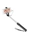 Generic - 5-Section Extendable Selfie Tripod With BT Remote Black/Silver