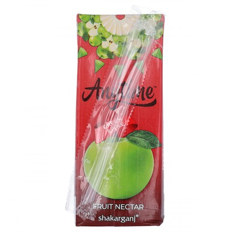 Buy Shakarganj Anytime Green Apple Nectar 200 ml Online | Carrefour ...