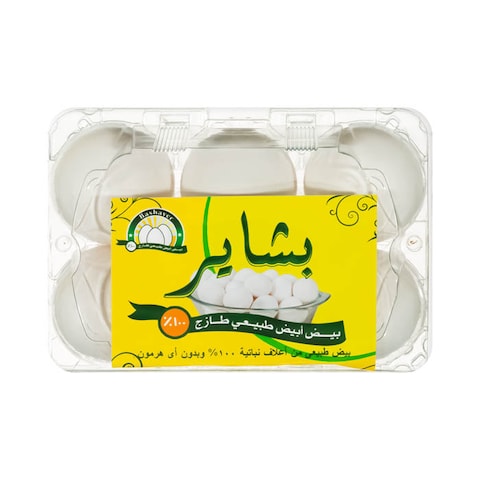 بشاير بيص أبيض - 6 قطع