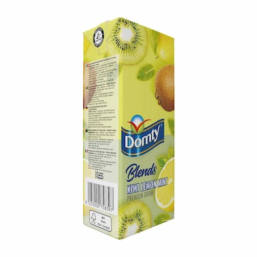 Domty Blends Kiwi Lemon Mint Juice - 235ml