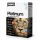 Nero Platinum 2019 6-In-1 Suite