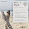 White Sage Smudge Sticks   sacred sage Bundle - Pack of 3