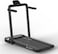 Sky Land Fitness 2 In 1 Foldable Treadmill Walking Pad 4 HP Peak, 12 Programs, With Large Running Surface And App Control, Easy To Assemble, EM-1287