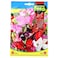 Fito Sweet Pea Nain Mix (6 g)