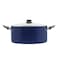 RAJ NONSTICK INDUCTION COOKING POT WITH GLASS LID 24 CM
