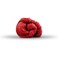 Craze Dinosaur Magic Dough Red 80g