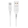 Denmen DC01 Single USB Plug Charger White