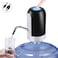 Doreen Electric Water Dispenser Automatic Portable Water Dispenser Black