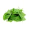 Baby Spinach 150g