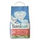 Sanicat 7 Days Freshness Aloe Vera Absorbent Litter 4L