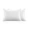 Comfy - Set of 2 Pillow