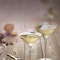 Martini  Rossi Extra Dry Vermouth Wine 750Ml