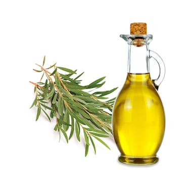 زيت شجرة الشاي - 25 مللي