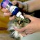 Vetericyn Plus Antimicrobial Eye Wash 3oz   Safe &amp; Gentle Eye Care for Pets