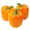 Capsicum Orange