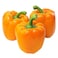 Capsicum Orange 500g 