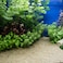 Vsell24 Super Naturals Golden Sand Aquarium Substrate For Fish Tank 2-4mm 2Kg