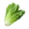 Pico Romaine Lettuce - 1 Piece