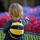LittleLife Bee Toddler Backpack With Rein