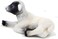 Animal Planet Black Faced Lamb Laying Down