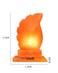 Geohoney Himalayan Salt Lamp - Leaf