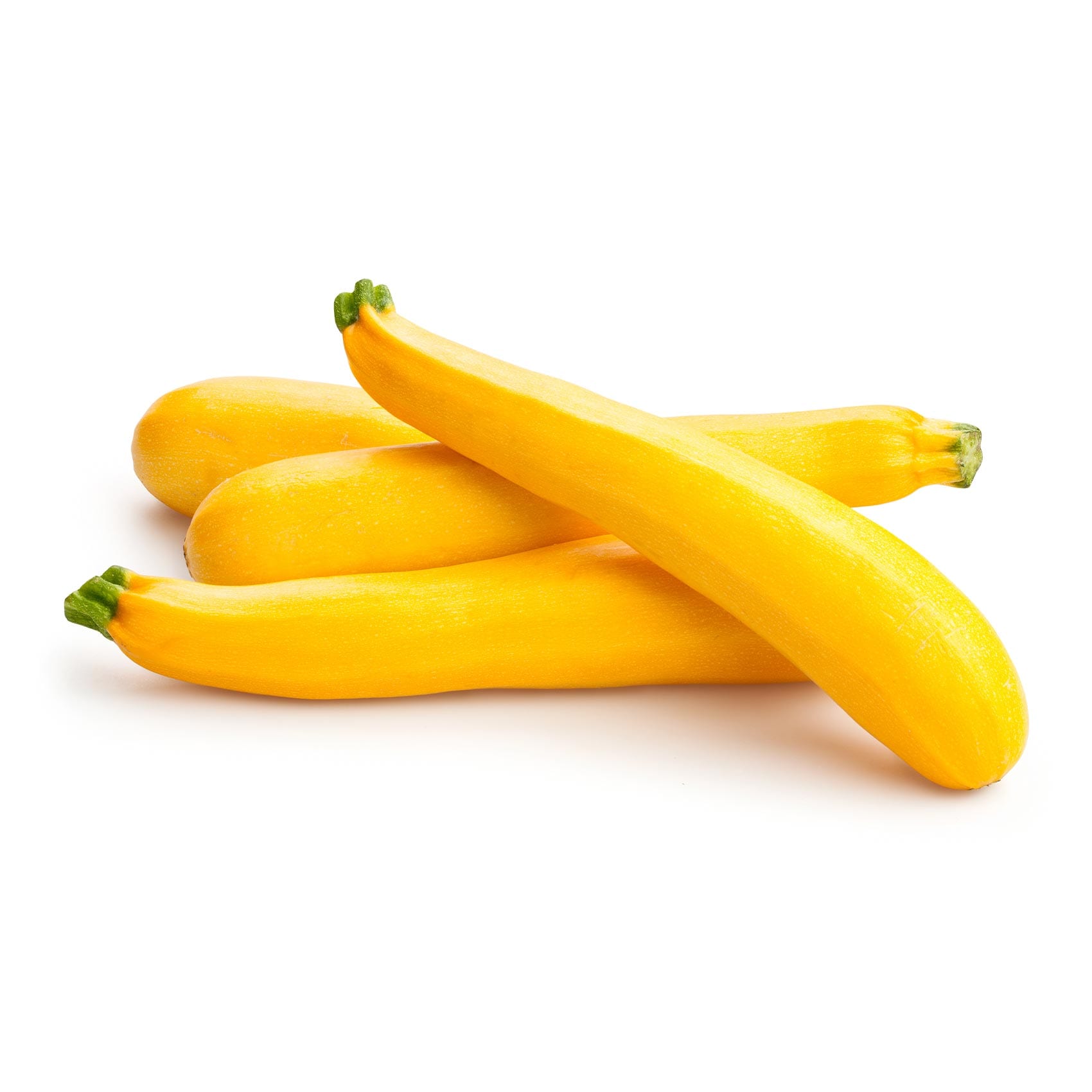 Yellow King Saudi Arabia イチジク苗木 Buy Courgette Yellow Holland Online | Carrefour KSA
