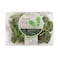 Baby Leave Paksoi Red Pack Of 125g